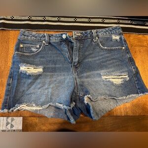 Time and Tru Women's Blue Jean Shorts